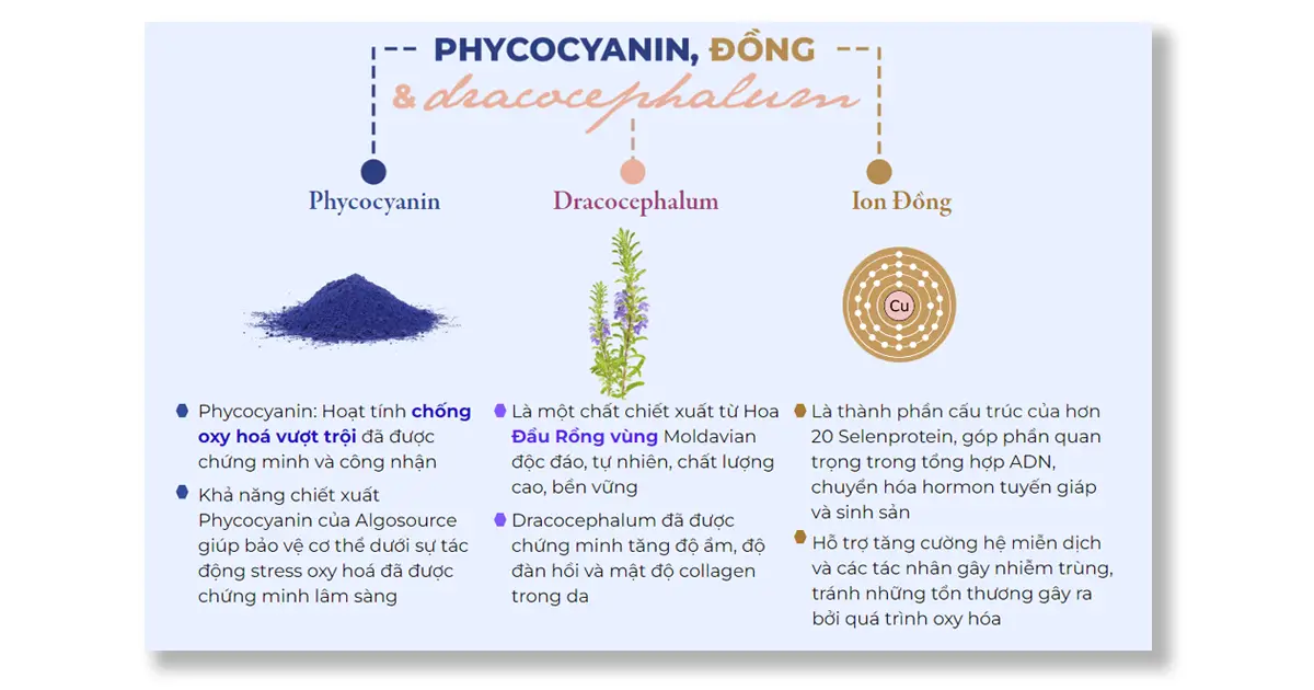 Phyco Beauté là sự kết hợp hoàn hảo giữa phycocyanin, hoa đậu rộng dracocephalum và ion đồng.